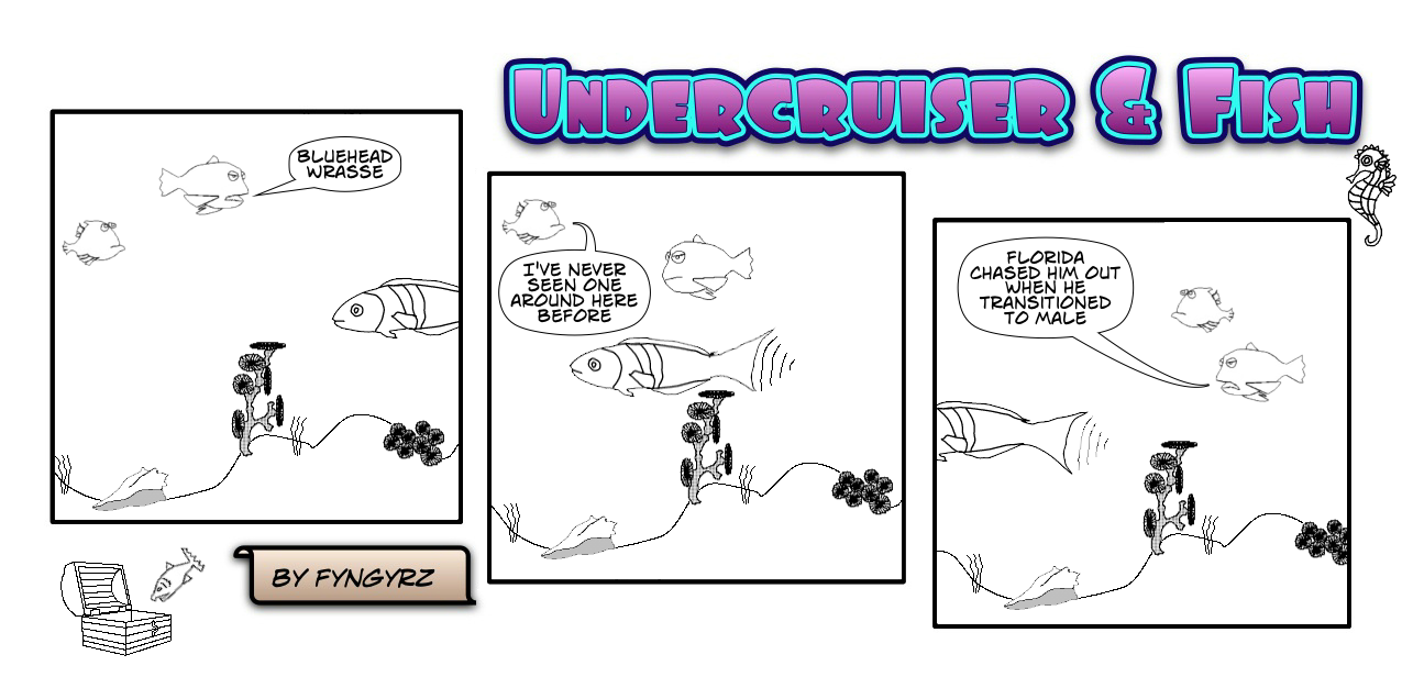 This is an image containing comic strip, a visual joke. Sorry.